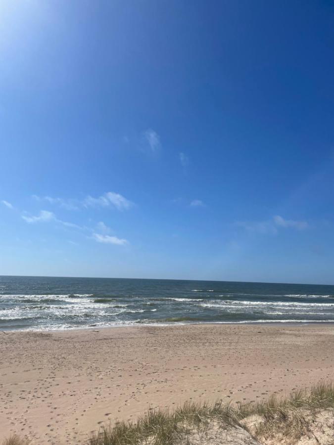 Cozy Vaivorykstes Apartment Palanga Esterno foto