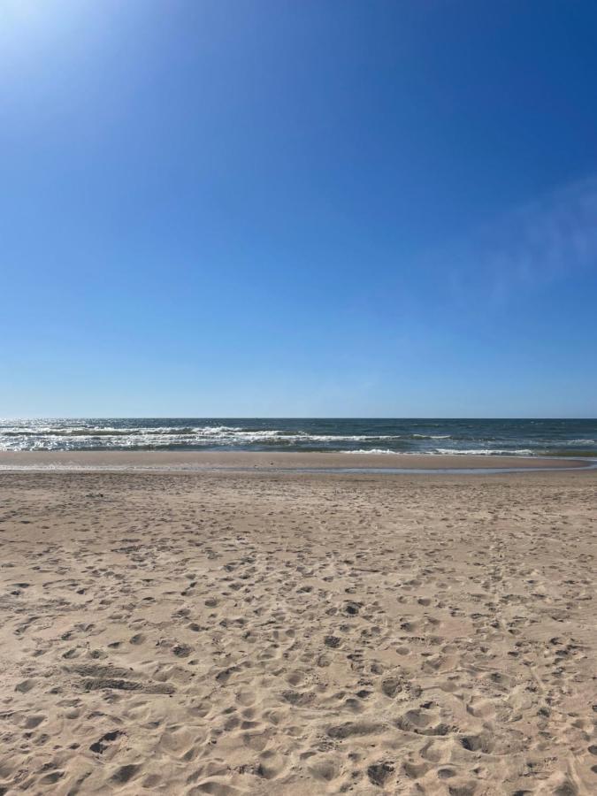 Cozy Vaivorykstes Apartment Palanga Esterno foto